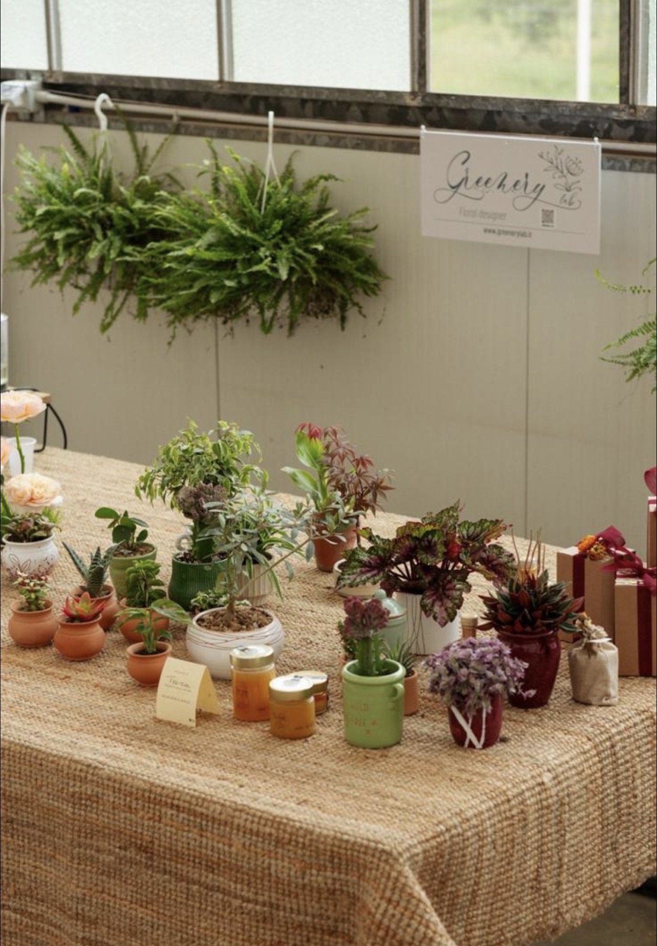 Allestimento reale Greenery Lab con piante, ceramiche e miele